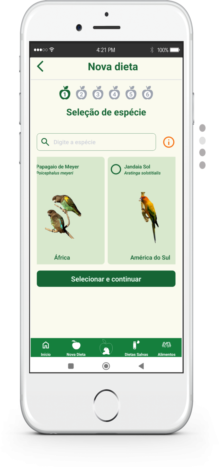 Telas Carrocel 2