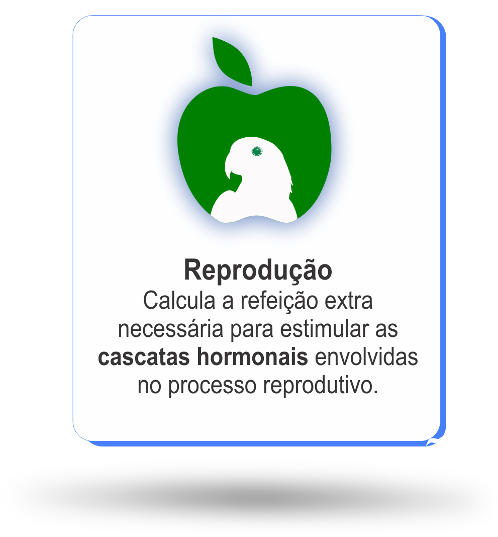 Benefício 6