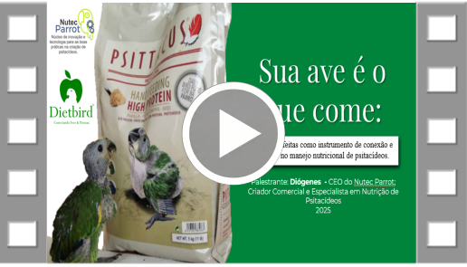 Capa Apresentação PT