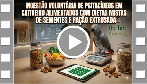 Capa Vídeo 1 PT Site