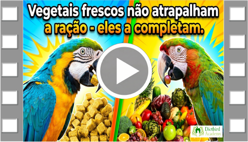 Capa Vídeo 5 PT